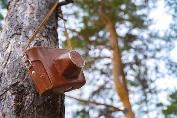 high on a pine there is an old Soviet film camera in a leather case of a brown color