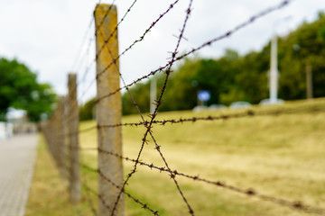 Wire