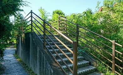 街路樹と階段