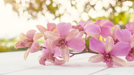 Obraz na płótnie Canvas Purple orchid flower on a white wooden table.