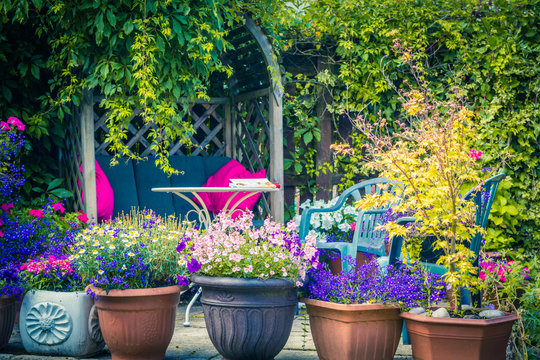 Fototapeta Beautiful, Summer garden with amazing blossom in big flowerpots
