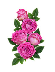 Pink rose flowers in a floral arrangement