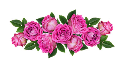 Pink rose flowers in a line floral arrangement