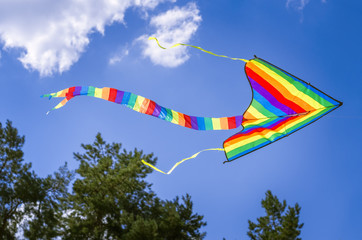 multi-colored flying kite game, in the sky among the trees