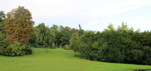 Summer evening view in Loschitsa Minsk from Belarus.  Sunrise in Loshitsa park, Europe