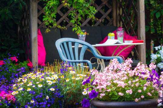Fototapeta Beautiful, Summer garden with amazing blossom in big flowerpots