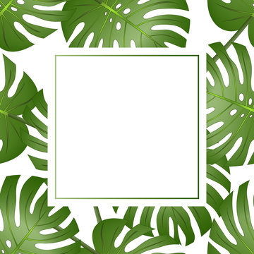 Philodendron Monstera Leaf Banner Card