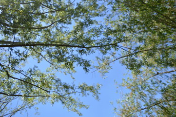 trata de no dormirte esta noche