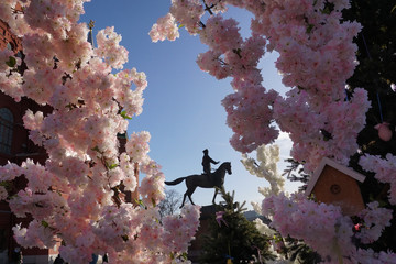 Rider on horseback monument visible trough pink flowers © Snezhana
