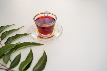tea enjoyment business meeting meeting and landscape