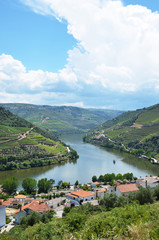Obraz premium Vineyards in the valley of Douro river, Portugal
