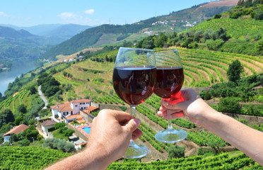 Wine glasses against vineyards in Douro Valley, Portugal - obrazy, fototapety, plakaty