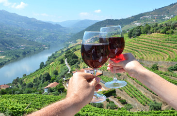 Wine glasses against vineyards in Douro Valley, Portugal - obrazy, fototapety, plakaty