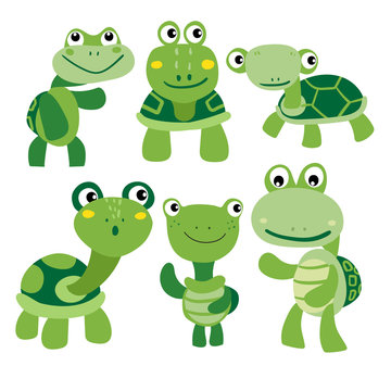 turtle character vector design