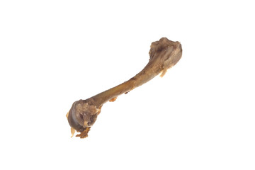 Bone isolated on white background