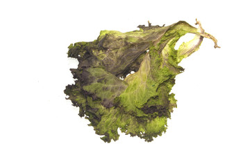 dry salad isolated on white background