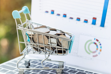 Thai coin in the trolley or mini shopping cart on laptop keyboard with chart and nature background. Consumer can buy product directly from seller over internet. Online shopping and e-commerce concept.