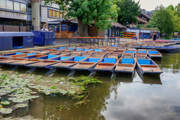 Punts lined up on river Cam in  Cambridge England