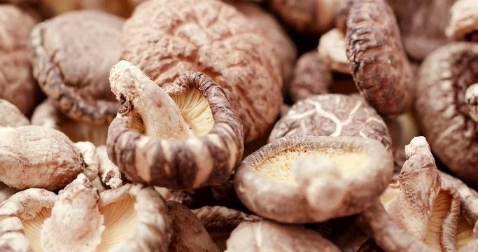 Dry mushroom in rotation