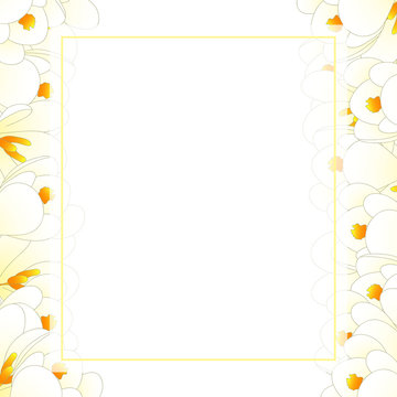 White Crocus Flower Banner Card Border