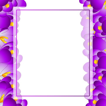 Purple Crocus Flower Banner Card Border