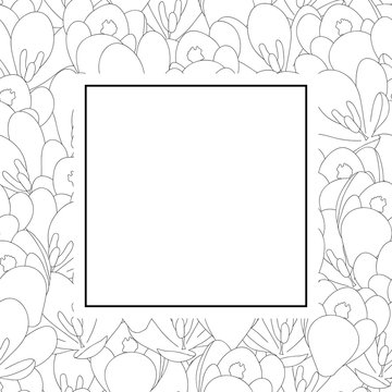 Crocus Flower Outline Banner Card