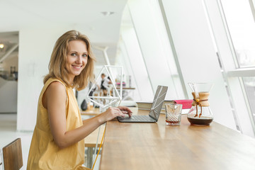 Profile portrait of young happy woman smiling to camera, sitting, working in front of laptop on wooden table in beautiful white office near window