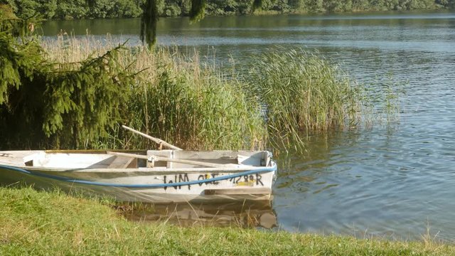 small boat moored to the lake, reeds