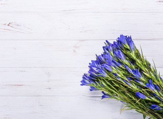 Bouquet of blue flowers