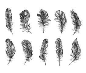 Feather Pattern, hand drawn