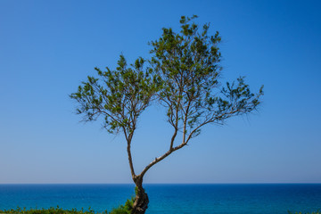View at Promenade at daytime, Netanya, Israel