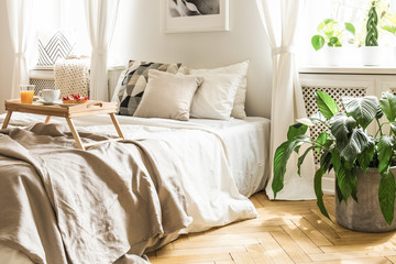 Breakfast tray on a comfy bed with beige sheets and pillows in a serene, sunlit hotel bedroom interior with plants and hardwood herringbone floor