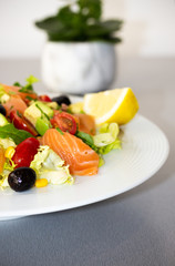Russian Cusine Salmon Vegitarian Fresh Salade