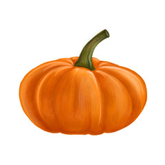 illustration with pumpkin isolated