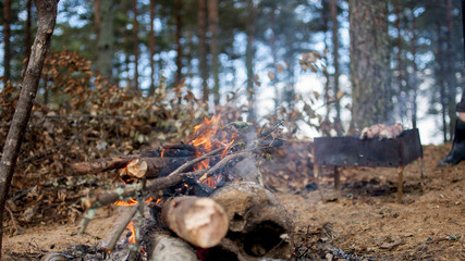 fire nature