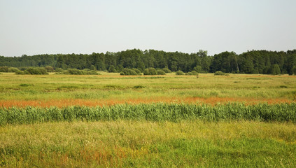 Landscape near Chotylow, Poland