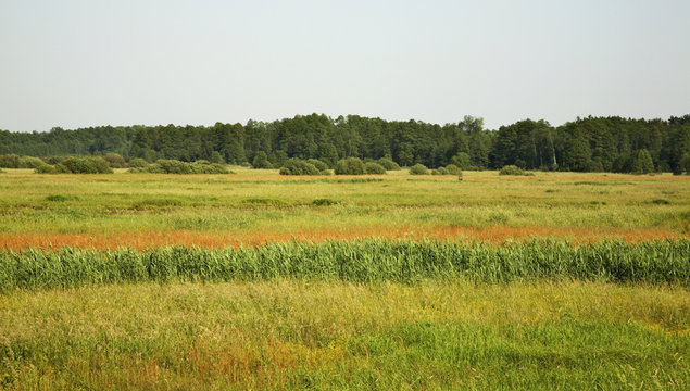 Landscape near Chotylow, Poland