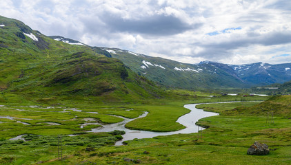 Fototapeta premium Landscape with a mountain river on the road from Flem to Myrdal. Norway, Europe.