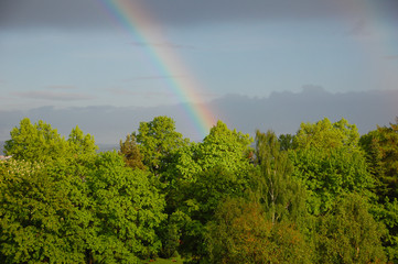 Rainbow1