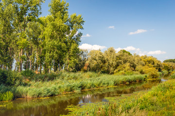 Fototapeta na wymiar Creek diagonally in the image of a nature reserve