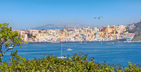 Amazing panoramic view of Procida Island, Italy