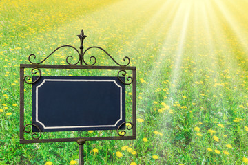 Grundstück Wiese Schild mit Textfreiraum und Sonnenstrahlen - Land Meadow sign with text space and...