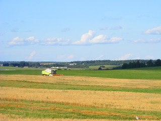 Fototapeta na wymiar Green combine harvester on blue sky