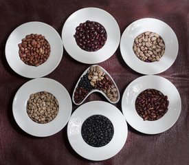 Phaseolus vulgaris Cranberry Group- bean cargamanto in its different presentations in white ceramic bowl and red background texture