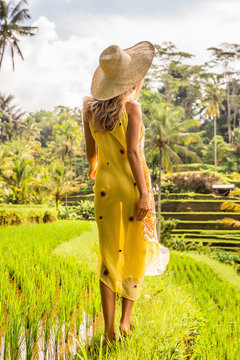 Beautiful young woman in shine through dress and straw hat. Girl walk at typical Asian hillside with rice farming, mountain shape green cascade rice field terraces paddies. Ubud, Bali, Indonesia.
