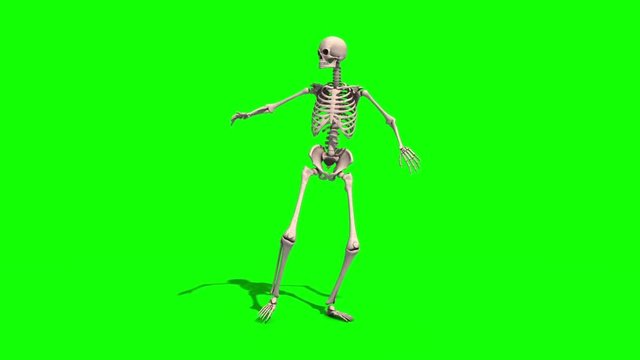 Skeleton Dancer Samba Green Screen 3D Rendering Animation