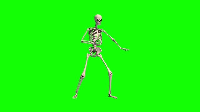 Skeleton Dancer Wave Dance Green Screen 3D Rendering Animation