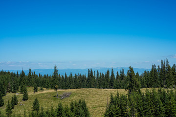 Scenic view from the top of the mountain in Romania, Carpathian mountains.