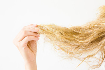 Woman's hand holding wet, blonde, tangled hair after washing on the white background. Hair problem and solution. Daily women's issues. - obrazy, fototapety, plakaty