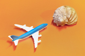 seashells and airplane close-up on a colored background